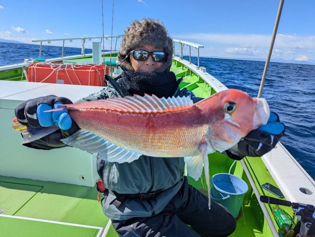 アマダイ(アカアマダイ)