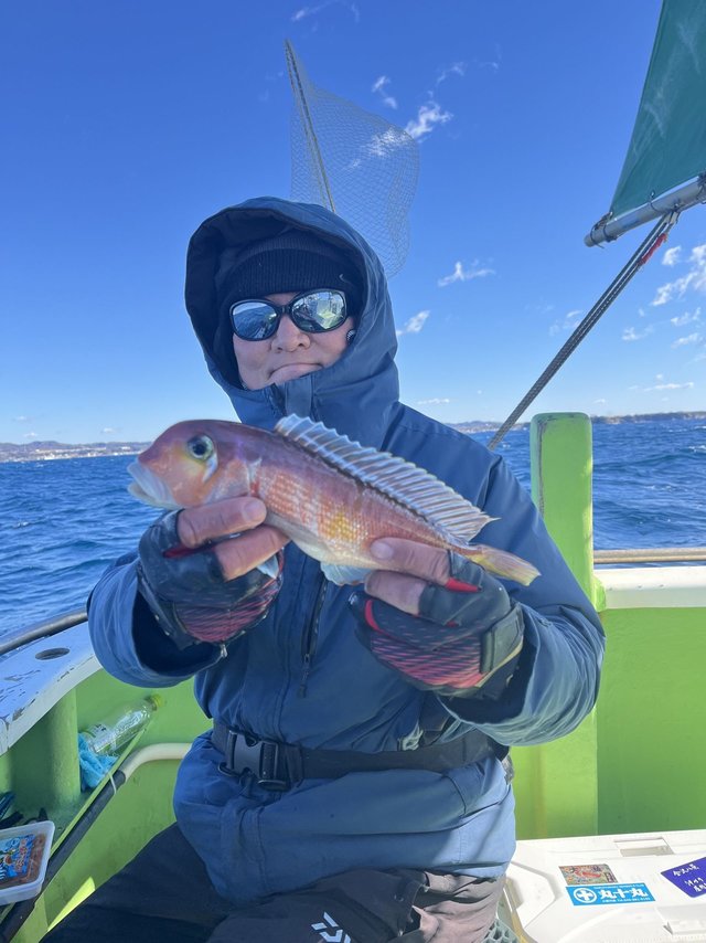 アマダイ(アカアマダイ)