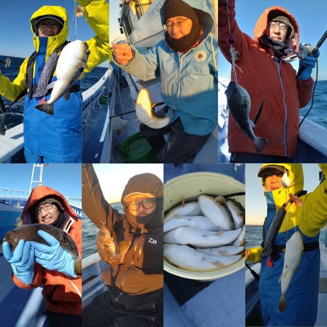 ショウサイフグ