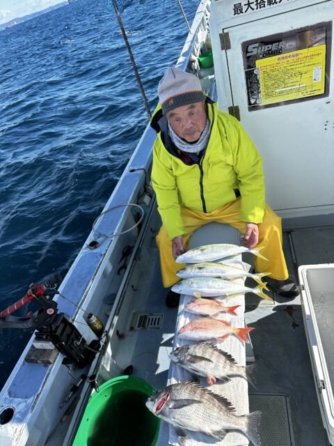 マダイ・クロダイ・イナダ(ブリ)