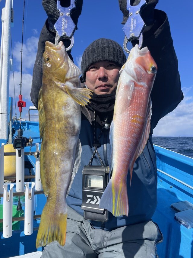 アマダイ(アカアマダイ)