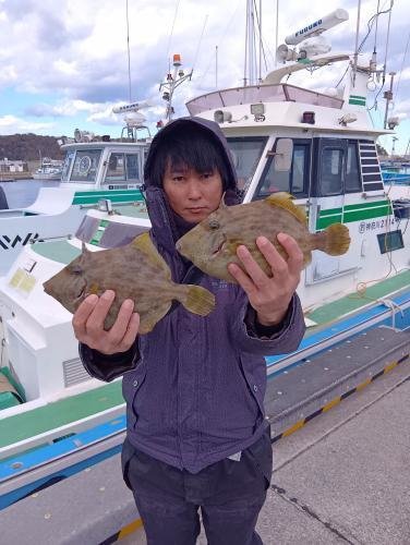 ウマズラ(ウマヅラハギ)