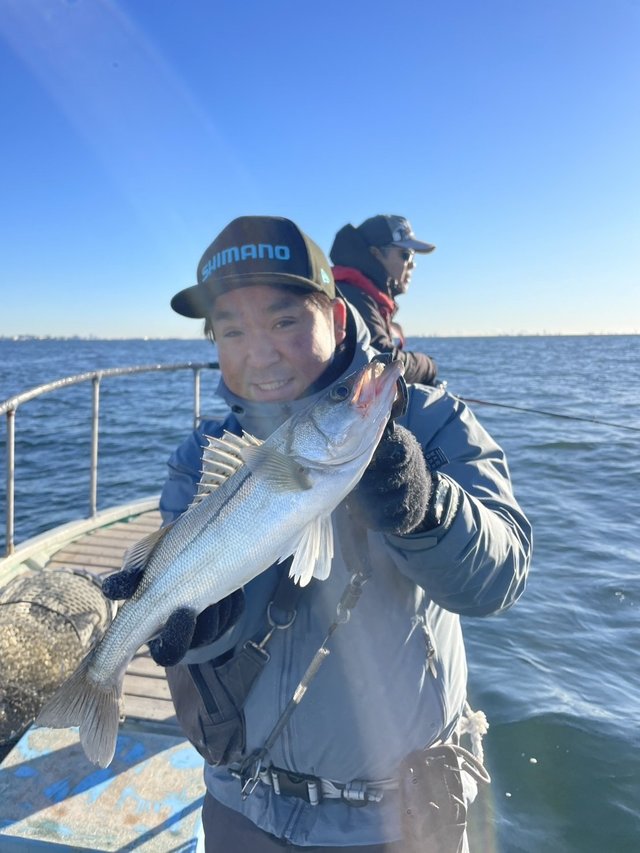 シーバス(スズキ)