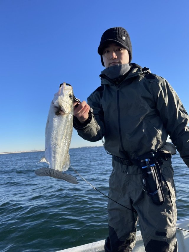 シーバス(スズキ)