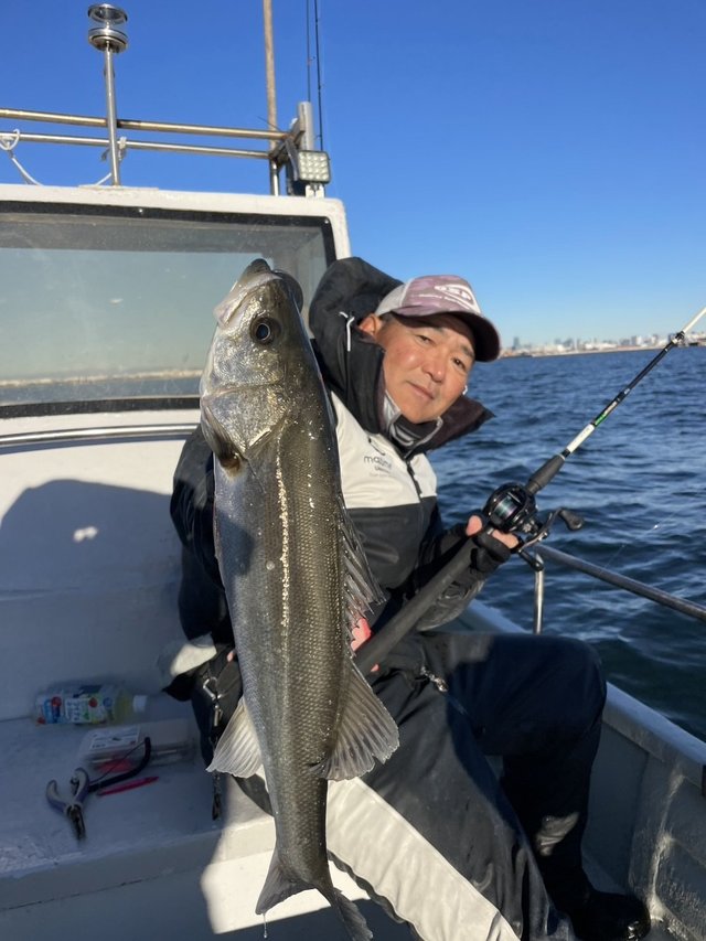 シーバス(スズキ)