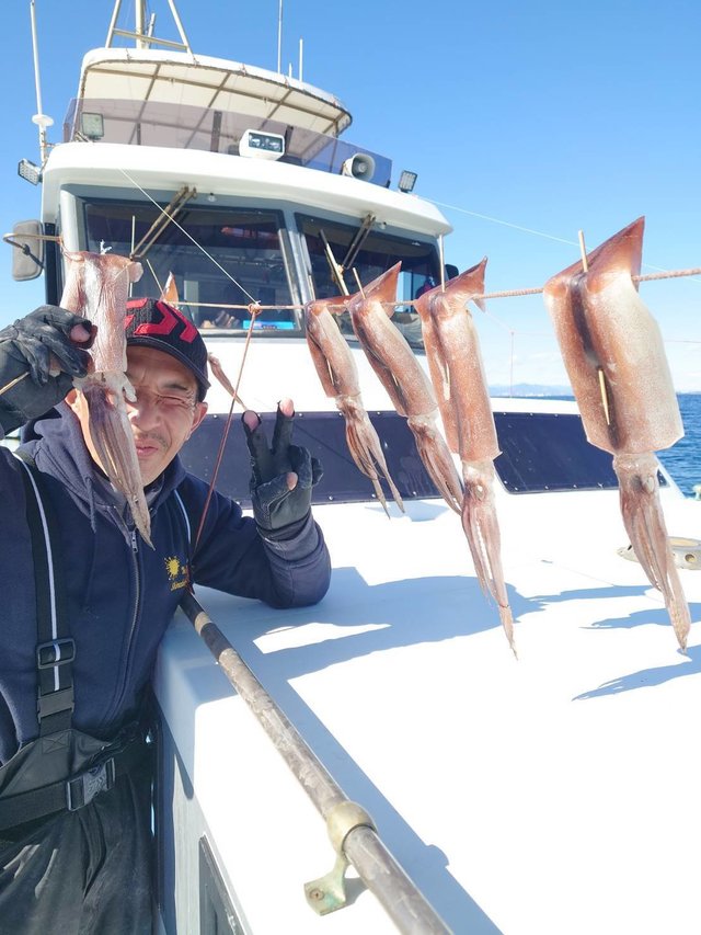 スルメ(スルメイカ)