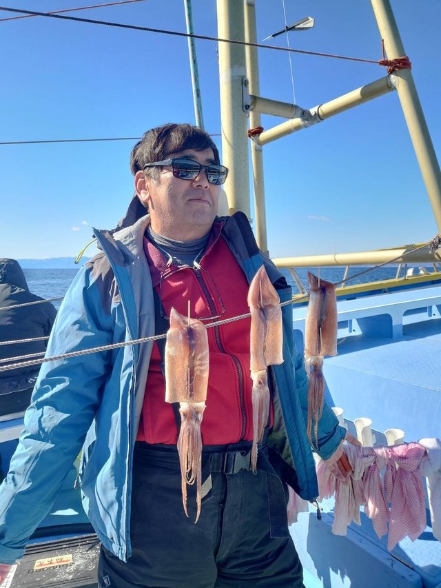 スルメ(スルメイカ)