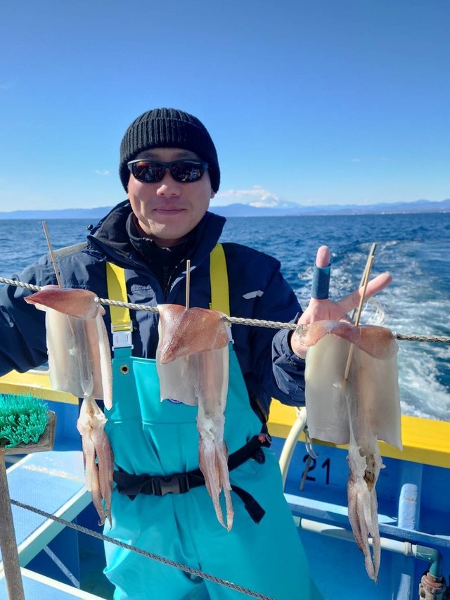 スルメ(スルメイカ)