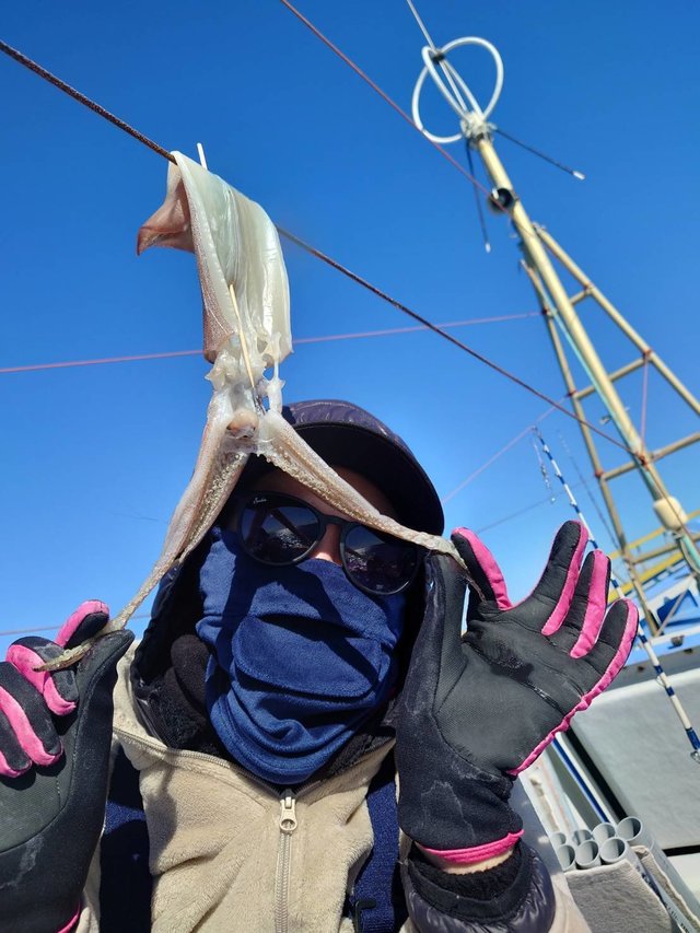 スルメ(スルメイカ)