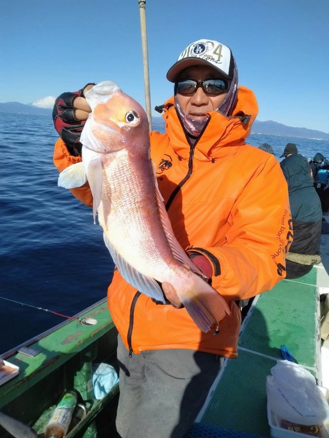 アマダイ(アカアマダイ)