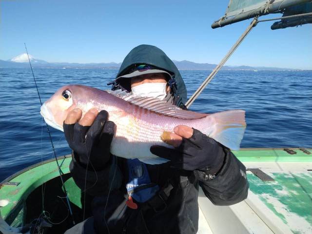 アマダイ(アカアマダイ)