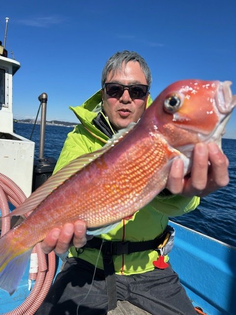 アマダイ(アカアマダイ)