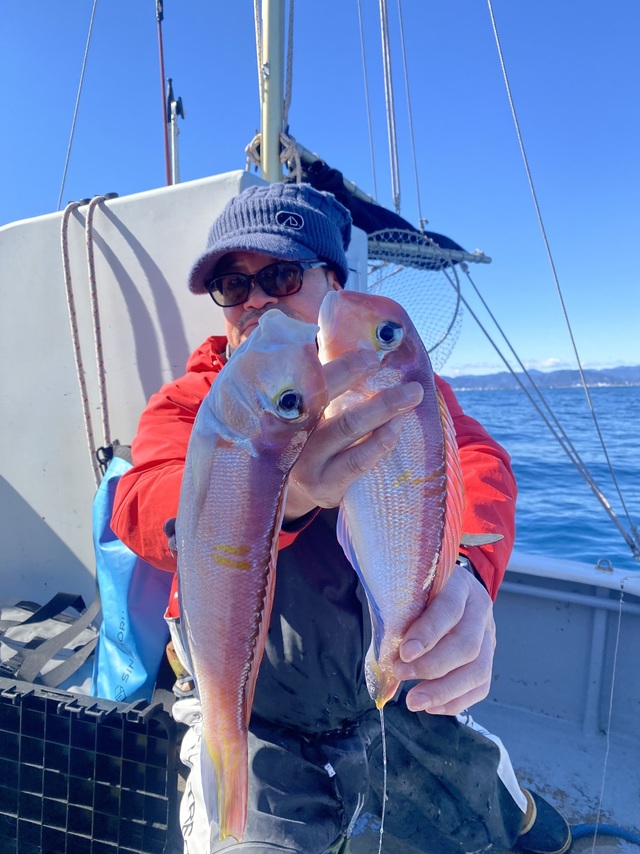 アマダイ(アカアマダイ)