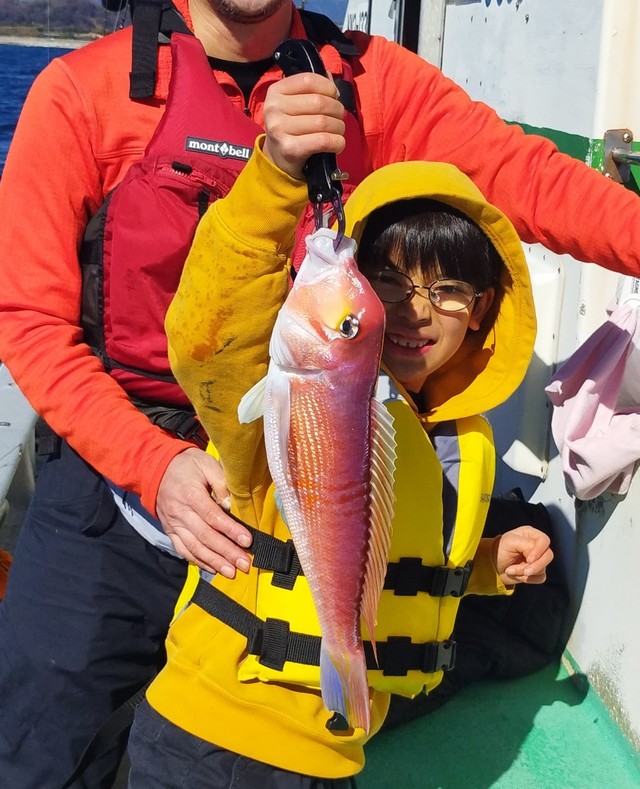 アマダイ(アカアマダイ)