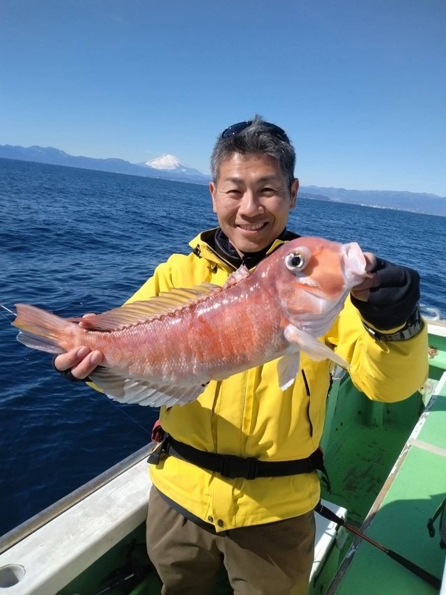 アマダイ(アカアマダイ)