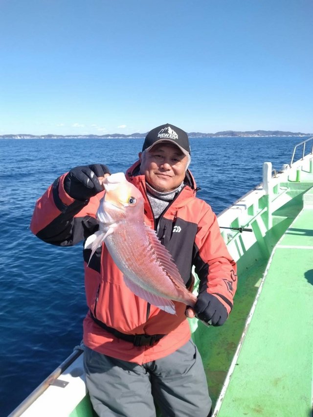 アマダイ(アカアマダイ)