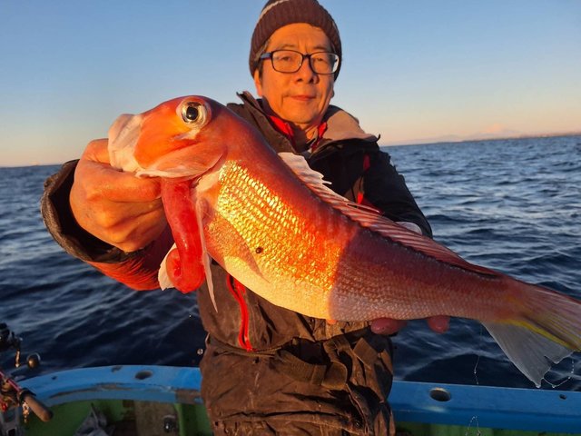 アマダイ(アカアマダイ)