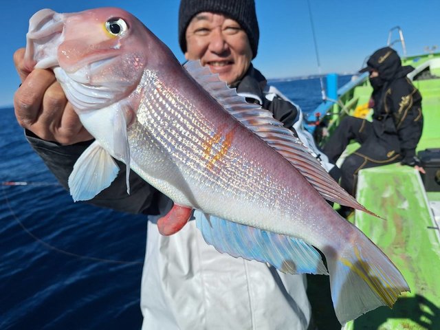 アマダイ(アカアマダイ)