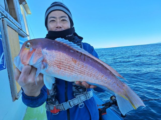 アマダイ(アカアマダイ)