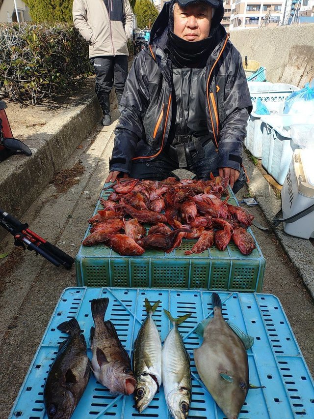 マアジ・ガシラ(カサゴ)・メバル・ウマヅラハギ