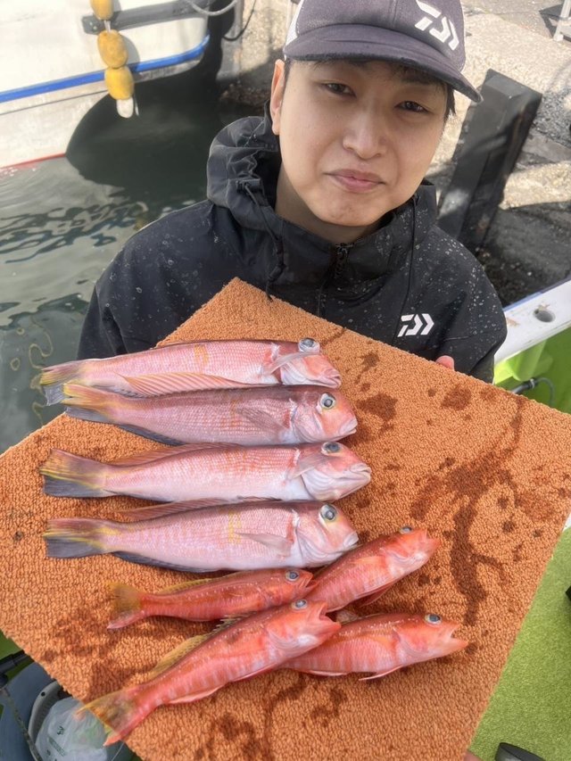 アマダイ(アカアマダイ)