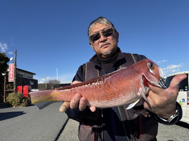 アマダイ(アカアマダイ)