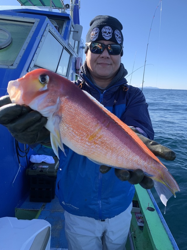 アマダイ(アカアマダイ)