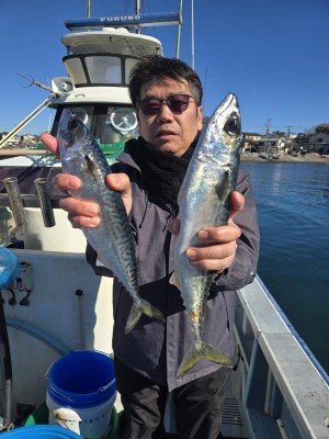 サバ(ゴマサバ)