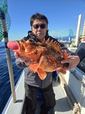 カンコ(ウッカリカサゴ)