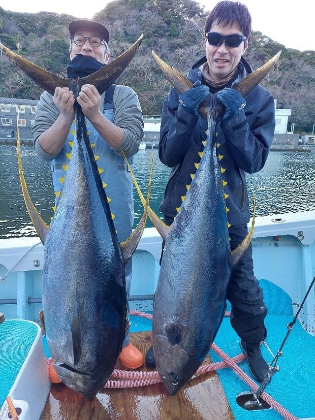 キハダマグロ(キハダ)