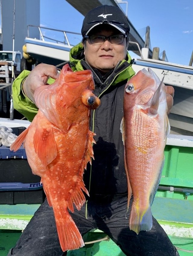 アマダイ(アカアマダイ)