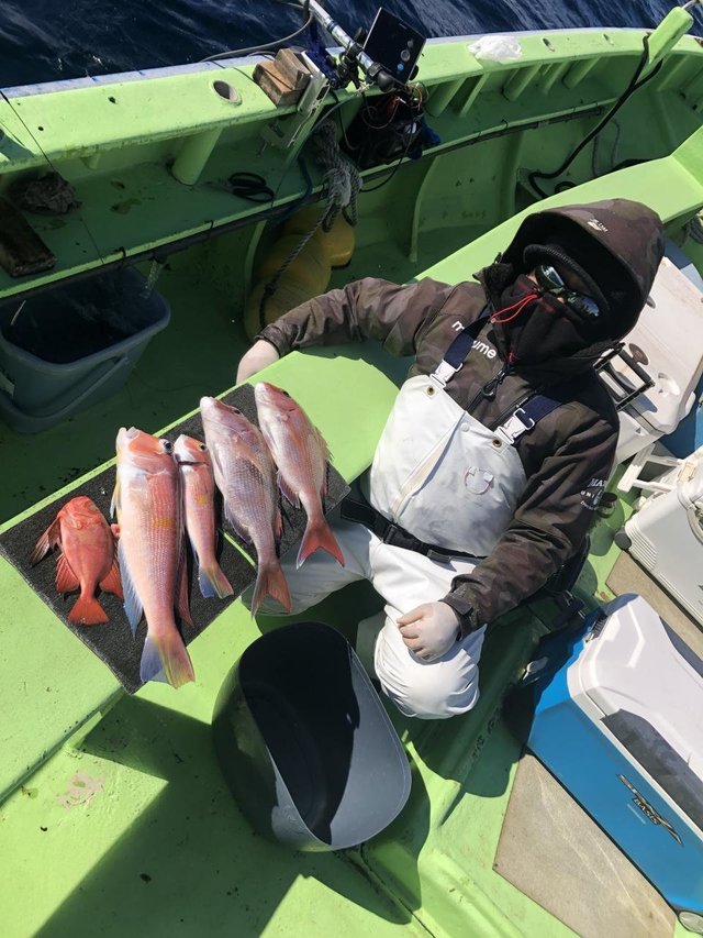 マダイ・アマダイ(アカアマダイ)・キントキ(チカメキントキ)