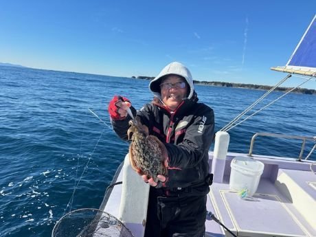 スミイカ(コウイカ)