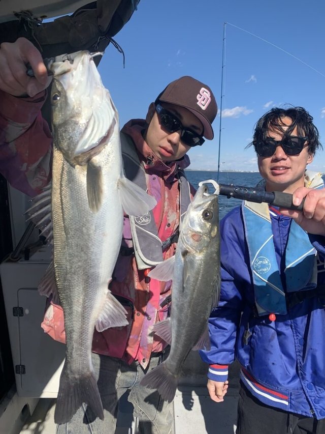 シーバス(スズキ)