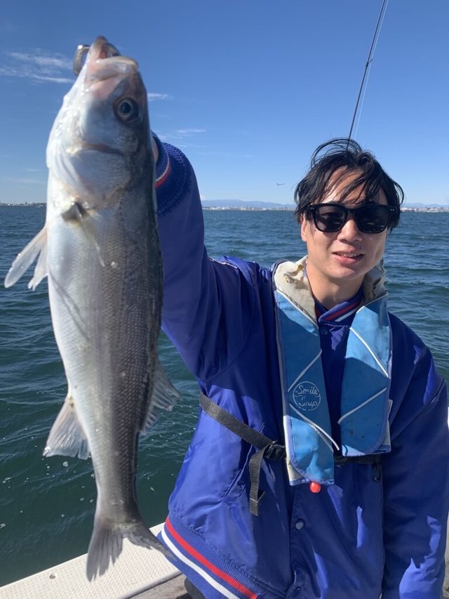 シーバス(スズキ)