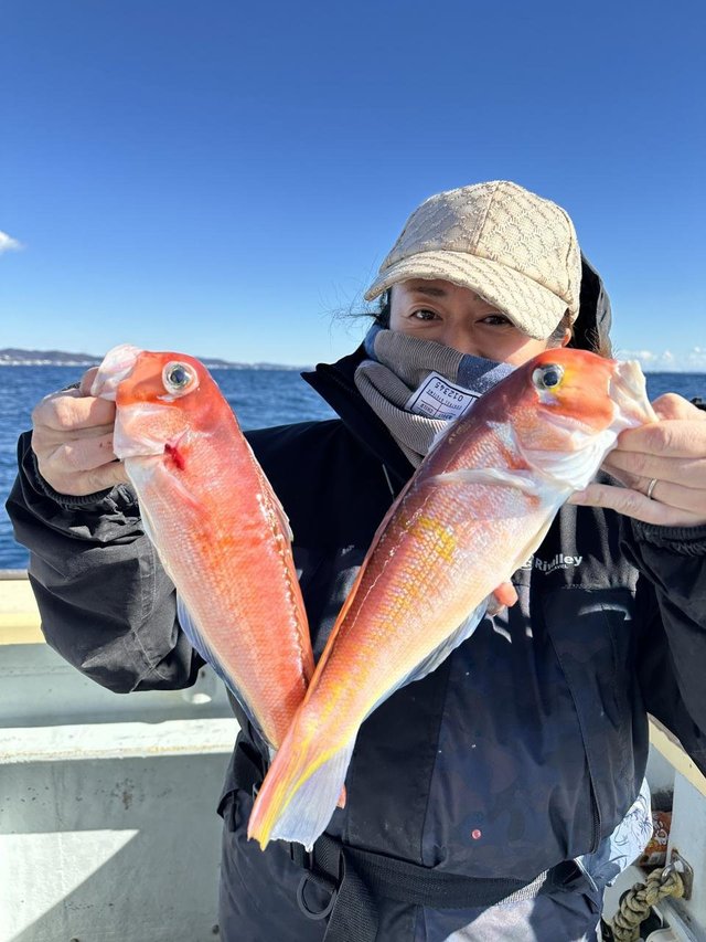 アマダイ(アカアマダイ)