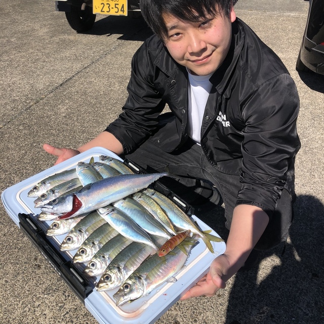 サバ(ゴマサバ)