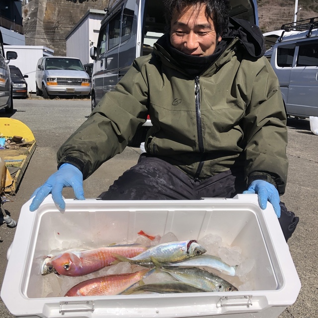 アジ(マアジ)・アマダイ(アカアマダイ)