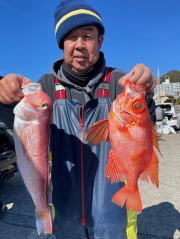 アマダイ(アカアマダイ)・キントキ(チカメキントキ)