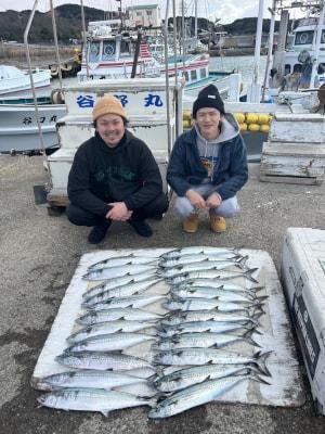 サゴシ(サワラ)