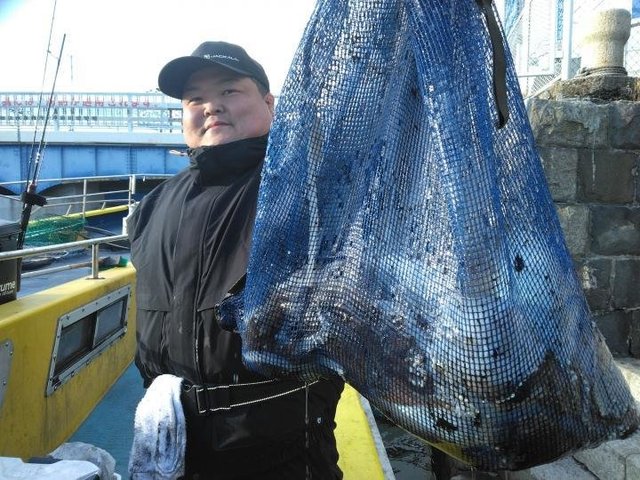 スミイカ(コウイカ)・カミナリイカ