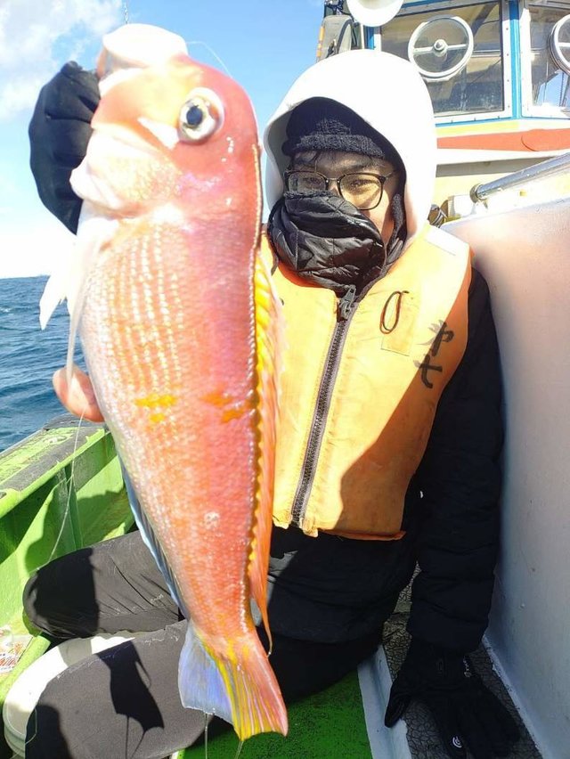 アマダイ(アカアマダイ)