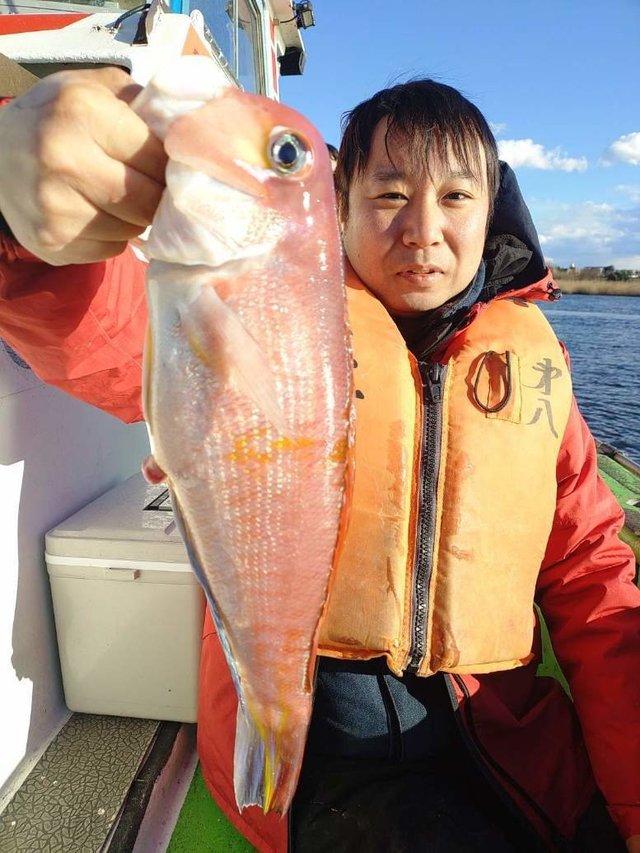 アマダイ(アカアマダイ)