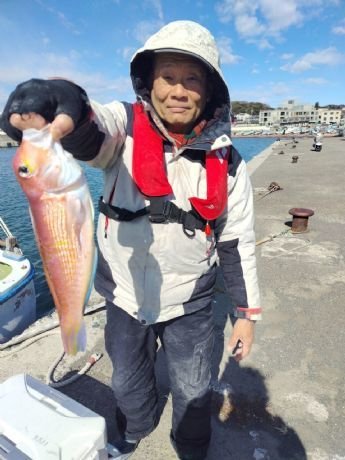 アマダイ(アカアマダイ)