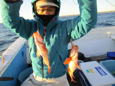 アカメバル(メバル)