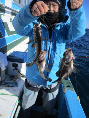 クロメバル(メバル)