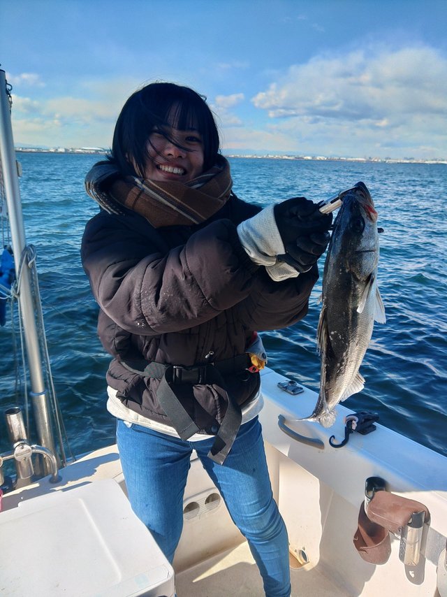 シーバス(スズキ)