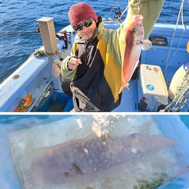 シロアマダイ・アオリイカ