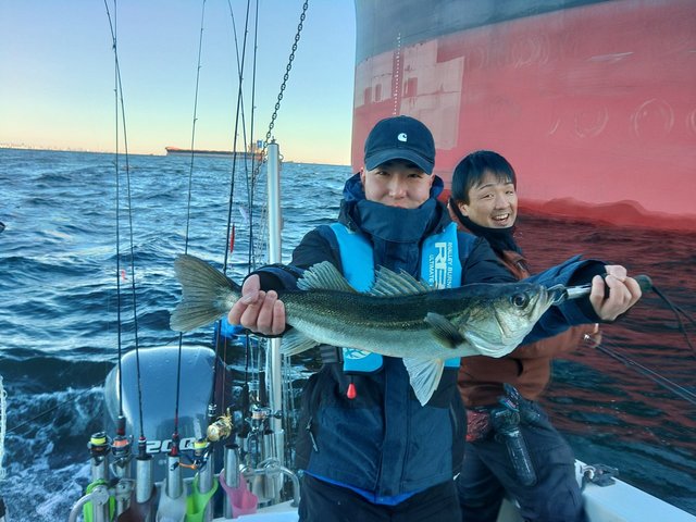 シーバス(スズキ)