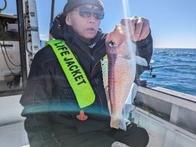 アマダイ(アカアマダイ)